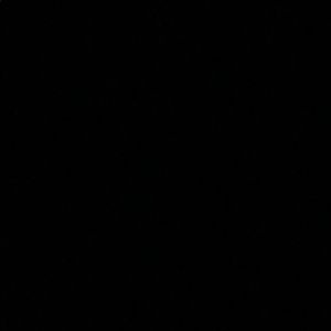 Meet your Posher, Jayzon